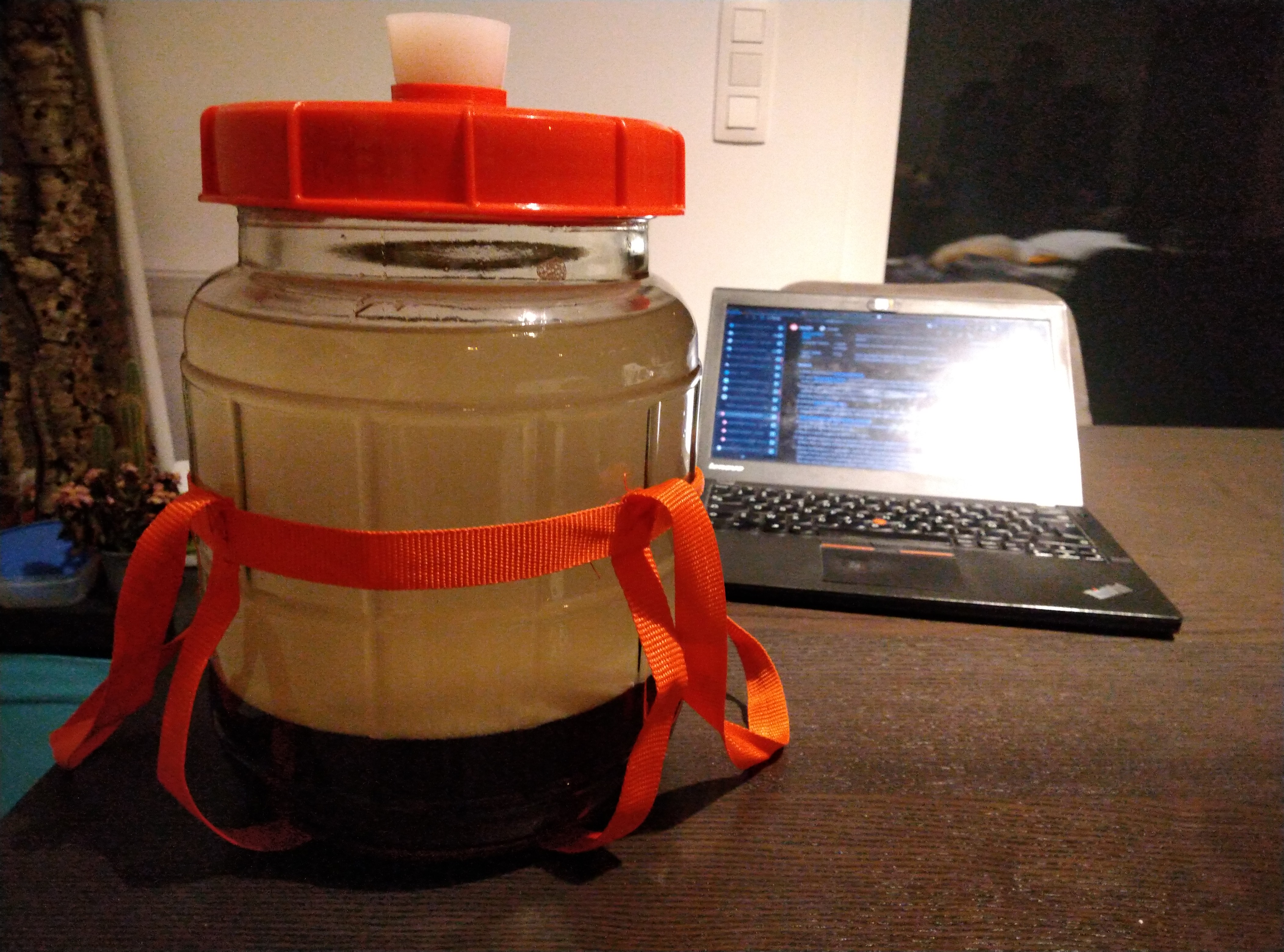 Initial fermentation